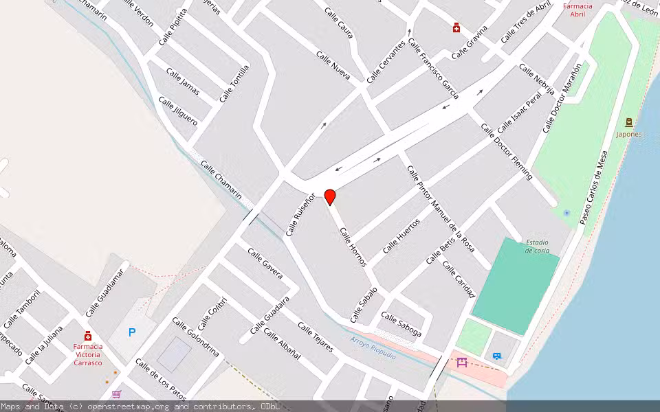 Mapa de Subasta Inmueble (Vivienda) en Coria Del Rio, Sevilla