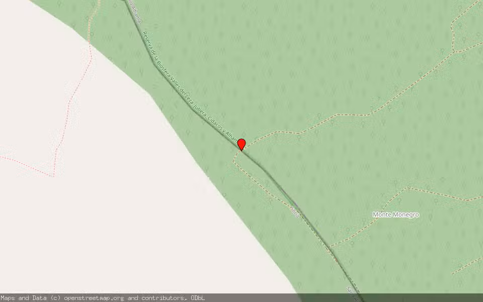 Mapa de Subasta Inmueble (Finca rústica) en San Felices, Soria
