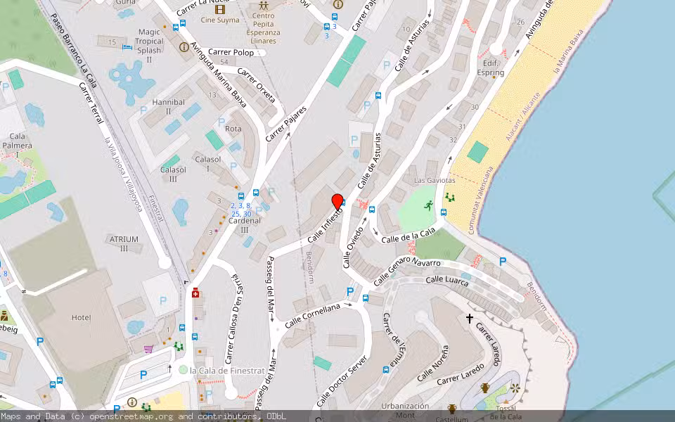 Mapa de Subasta Inmueble (Vivienda) en Benidorm, Alicante/Alacant