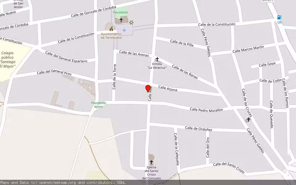 Mapa de Subasta Inmueble (Vivienda) en Torrenueva, Ciudad Real