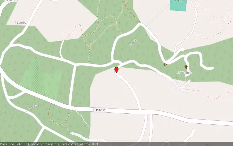 Mapa de Subasta Inmueble (Finca rústica) en As Neves, Pontevedra