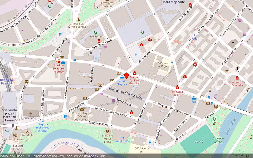 Mapa de Subasta Inmueble (Vivienda) en Basauri, Bizkaia