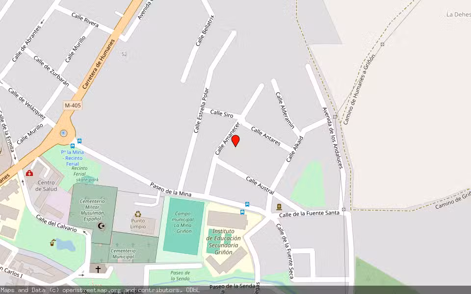 Mapa de Subasta Inmueble (Vivienda) en Griñon, Madrid