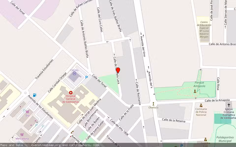Mapa de Subasta Inmueble (Solar) en Valdepeñas, Ciudad Real