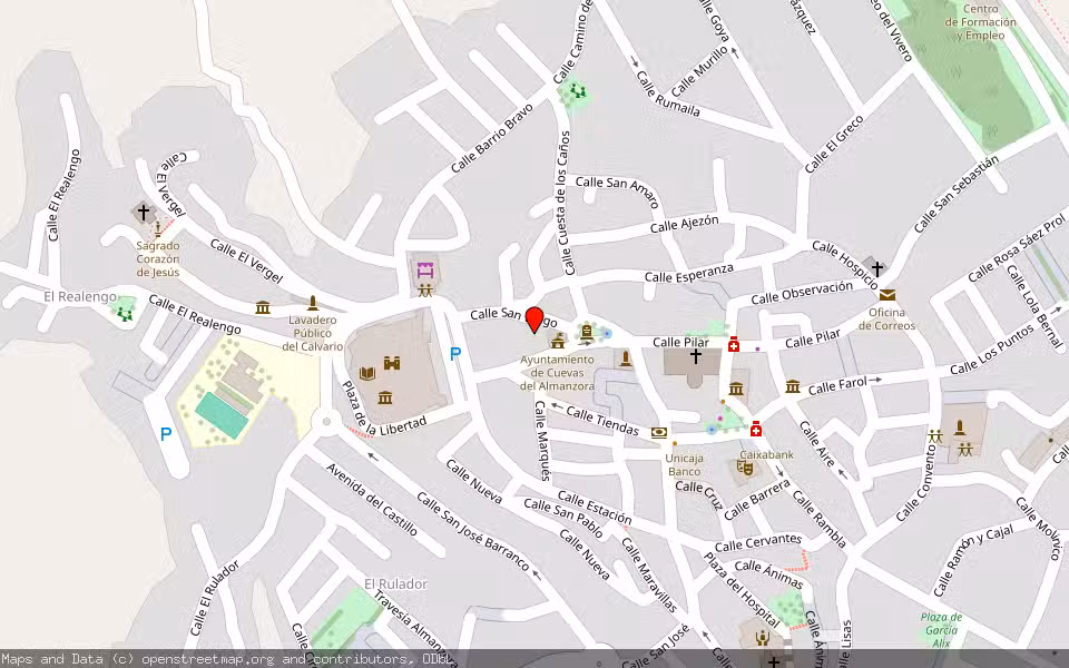 Mapa de Subasta Inmueble (Vivienda) en Cuevas Del Almanzora, Almería