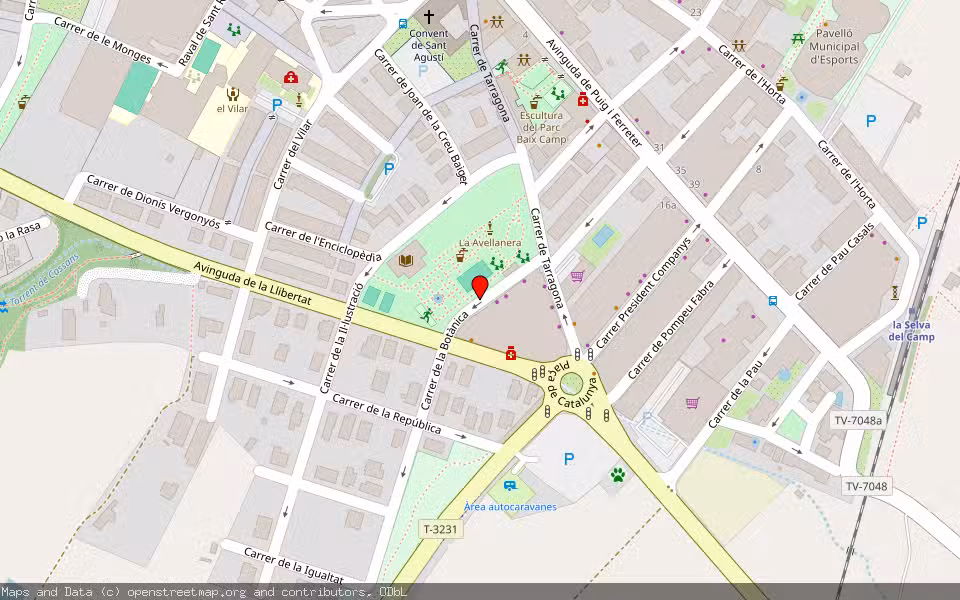 Mapa de Subasta Inmueble (Vivienda) en La Selva Del Camp, Tarragona