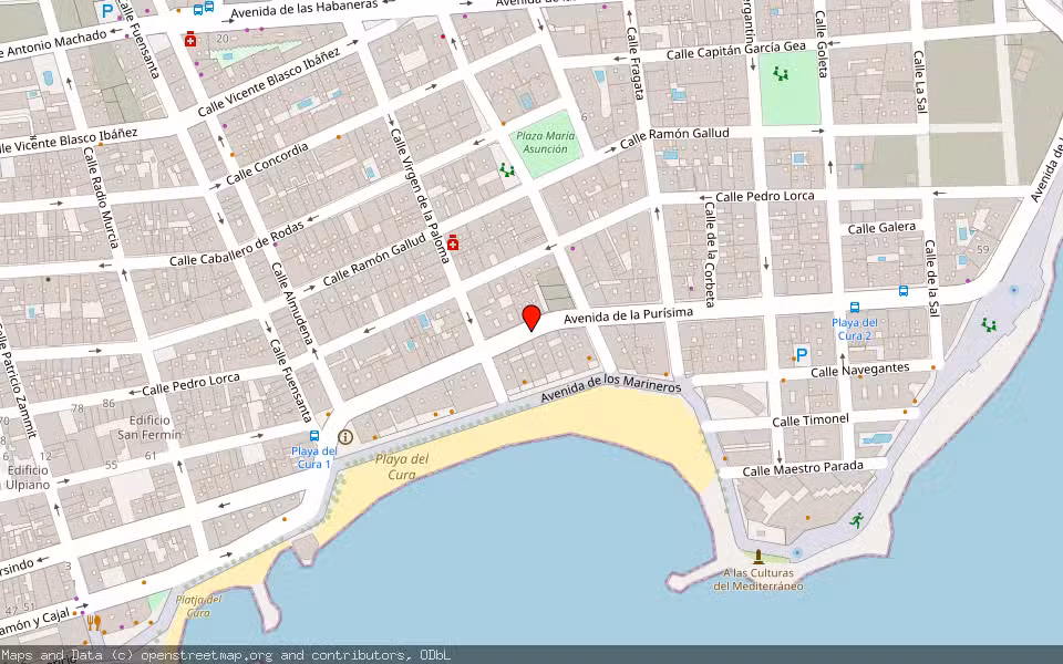 Mapa de Subasta Inmueble (Local comercial) en Torrevieja, Alicante/Alacant