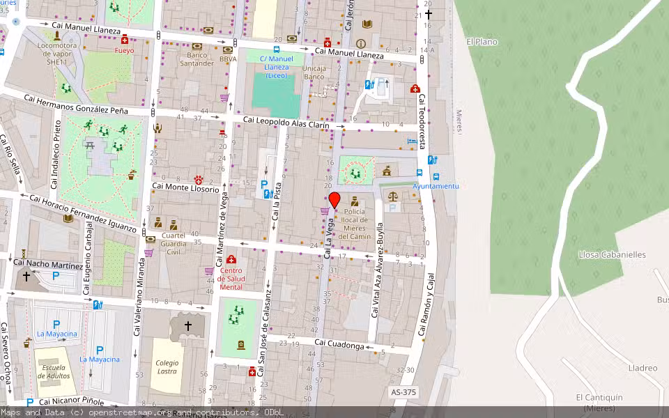 Mapa de Subasta Inmueble (Vivienda) en Mieres, Asturias