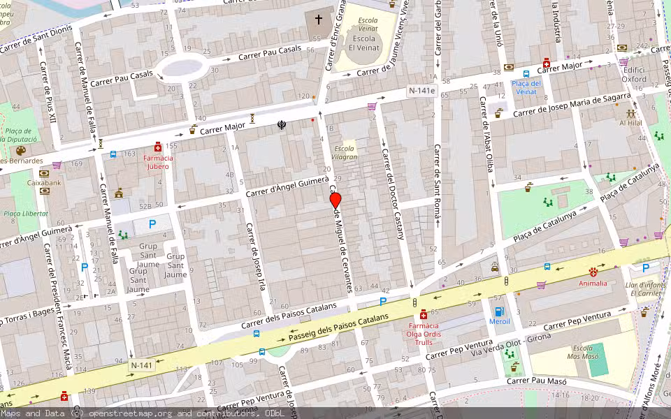 Mapa de Subasta Inmueble (Vivienda) en Salt, Girona