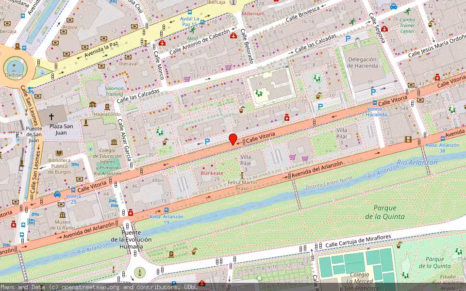Mapa de Subasta Inmueble (Local comercial) en Burgos