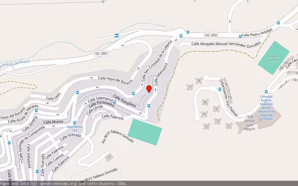 Mapa de Subasta Inmueble (Vivienda) en Las Palmas De Gran Canaria, Las Palmas
