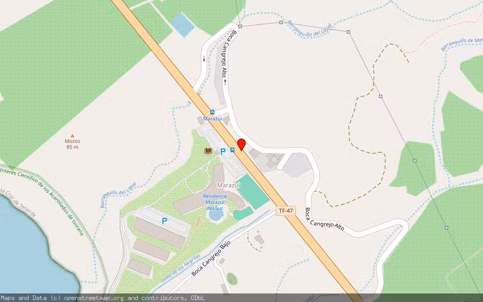 Mapa de Subasta Inmueble (Otros) en Adeje, Santa Cruz de Tenerife