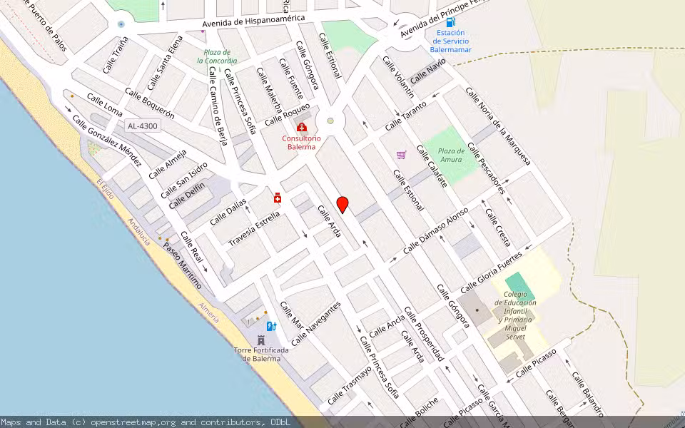 Mapa de Subasta Inmueble (Vivienda) en Balerma-el Ejido, Almería