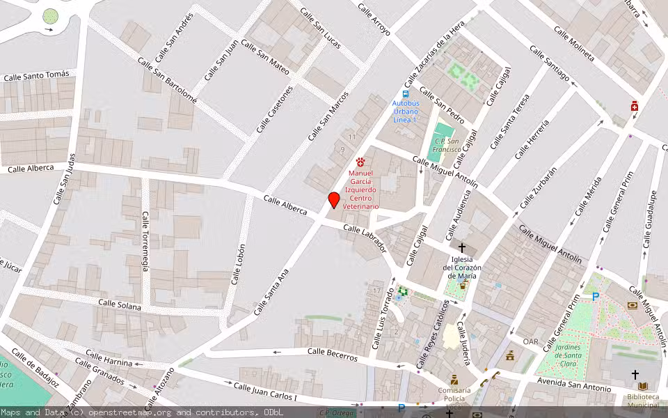 Mapa de Subasta Inmueble (Local comercial) en Almendralejo, Badajoz