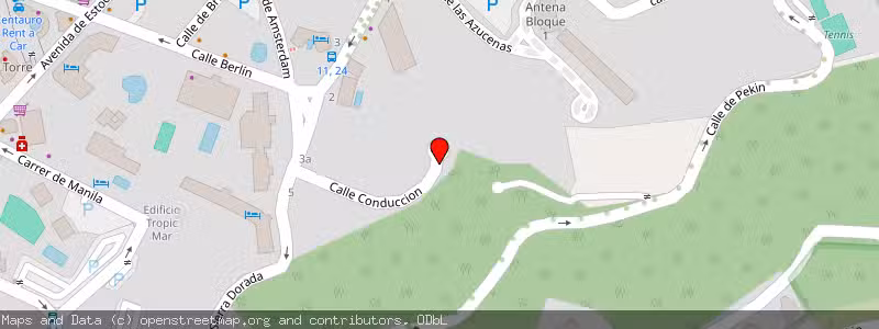 Mapa de Subasta de Inmueble (Vivienda) en Benidorm, Alicante 
