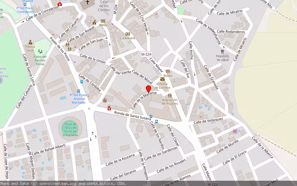 Mapa de Subasta Inmueble (Garaje) en Torres De La Alameda, Madrid