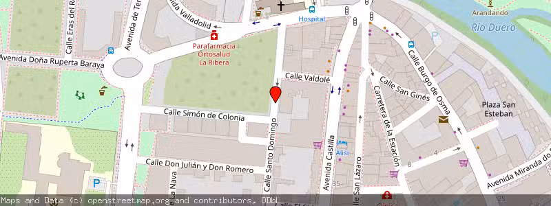 Mapa de Subasta de Inmueble (Local comercial) en Aranda De Duero, Burgos 