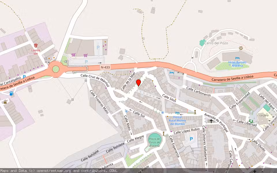Mapa de Subasta Inmueble (Otros) en Aracena, Huelva
